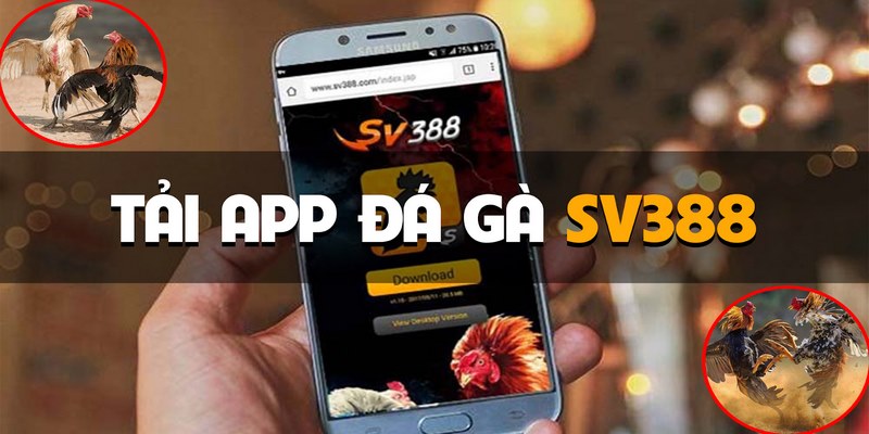 Tải SV388 Android Để Trải Có Được Trải Nghiệm Hoàn Chỉnh